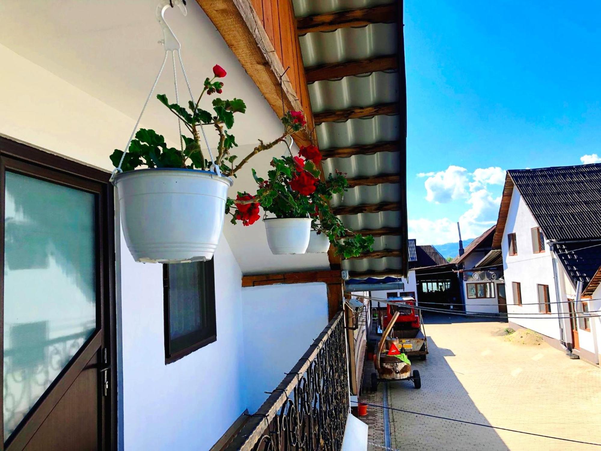 Casa Paul Hotel Vişeu de Sus Exterior foto