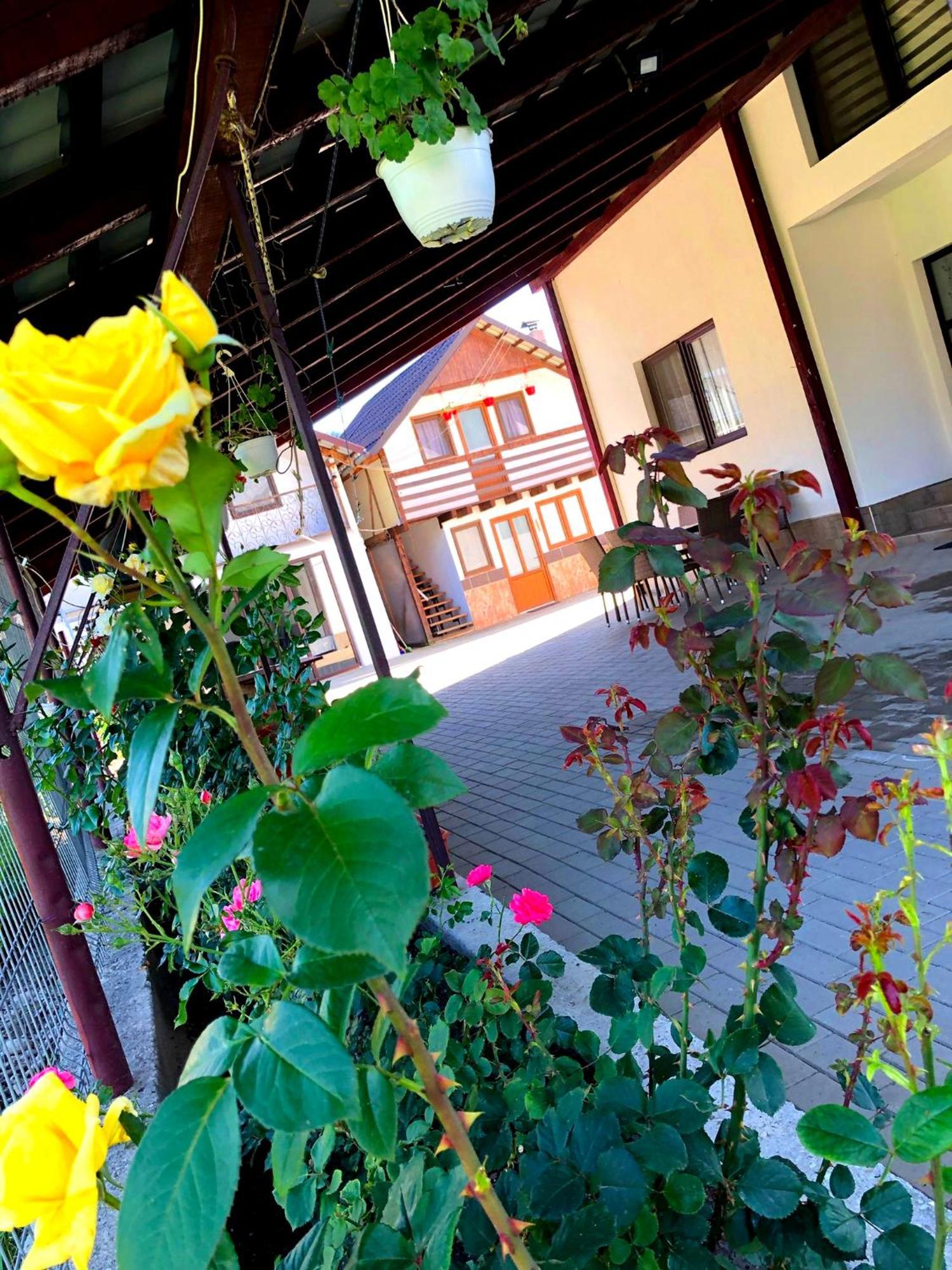 Casa Paul Hotel Vişeu de Sus Exterior foto